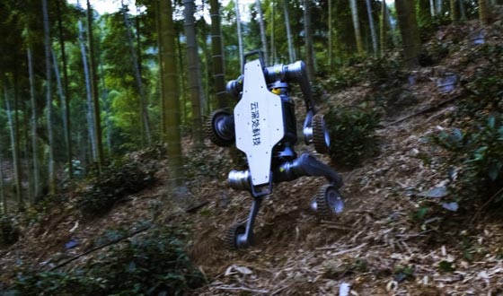 jiuyou.com九游山猫