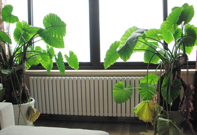 暖气片的质量要引起沙巴直播消费者的注意