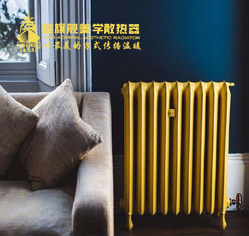 家中要装修定制暖气片好吗？